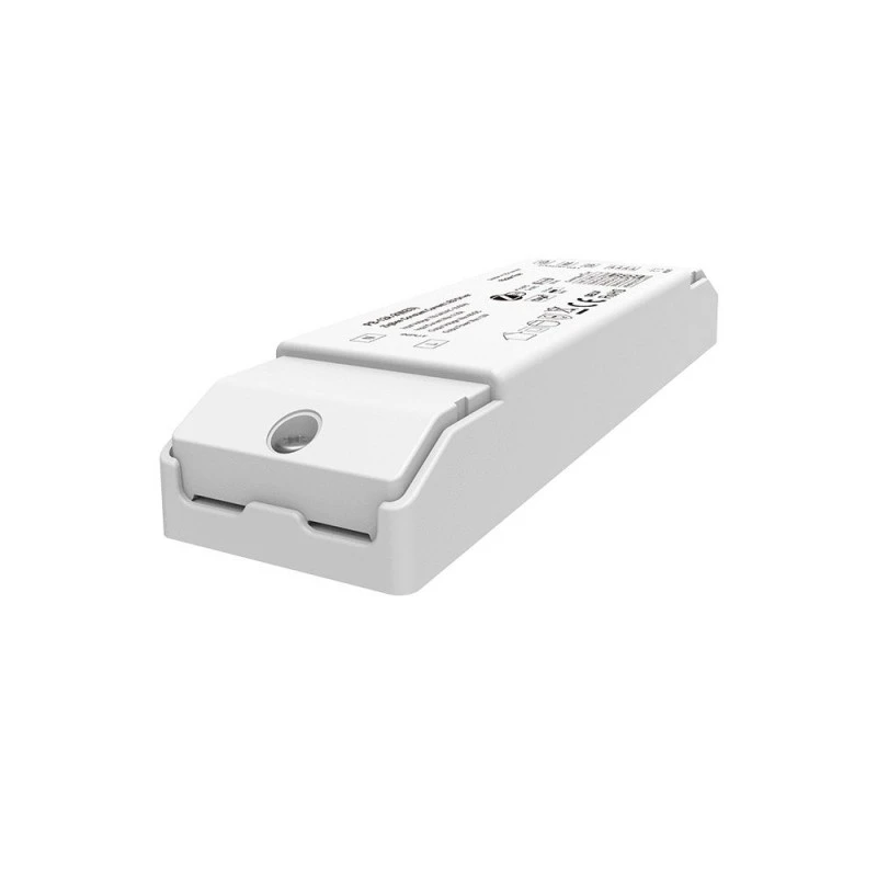 2CH CCT ZigBee 3.0 LED Sürücü Sabit Cərəyan (150-450mA)